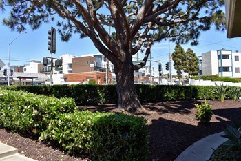 outdoor view
